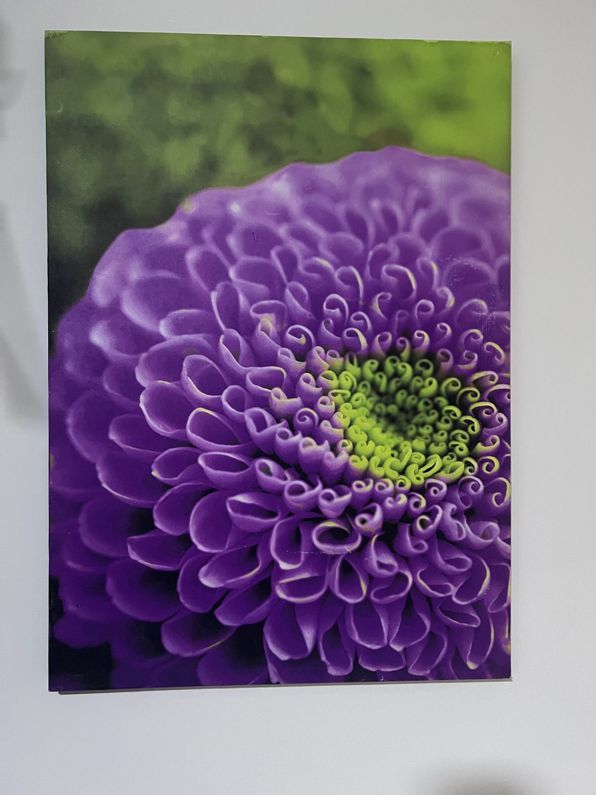 Cuadro floral en tonos violetas