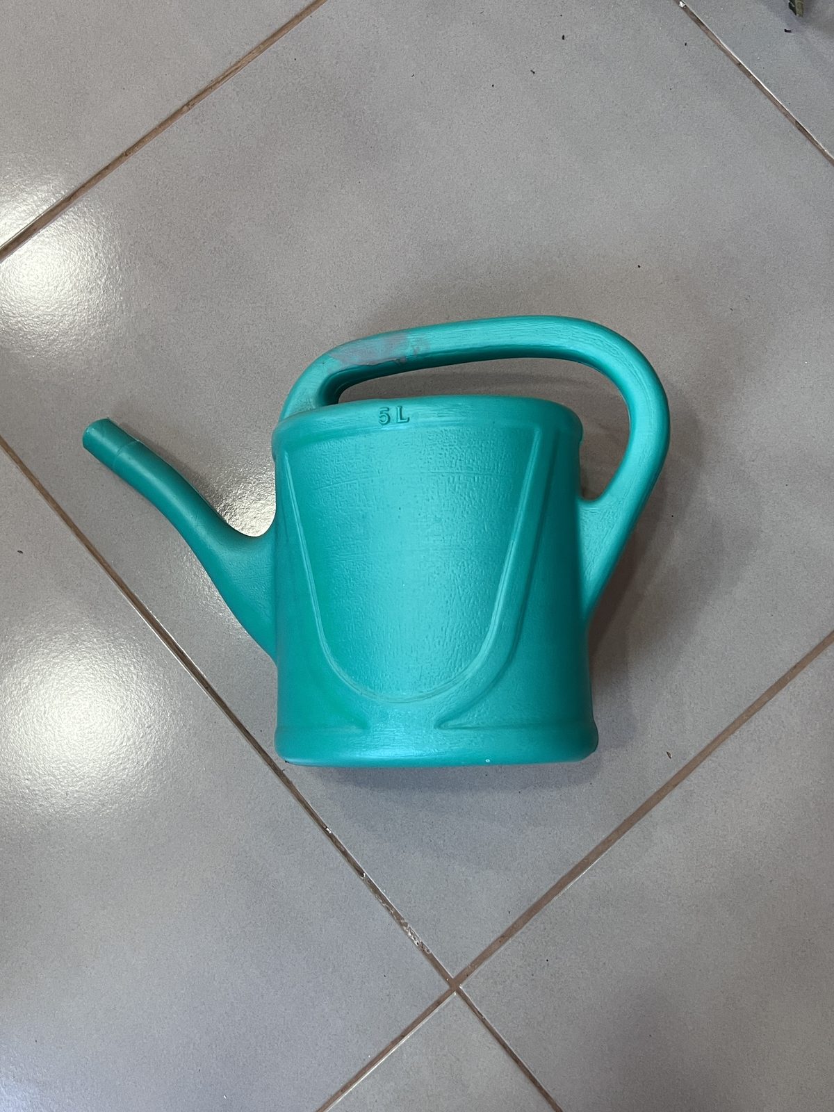 Regadera turquesa (5 litros)